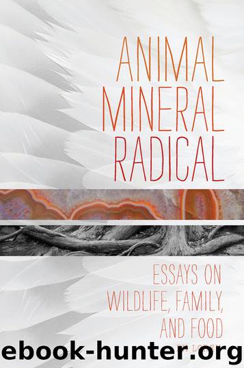 Animal, Mineral, Radical by BK Loren
