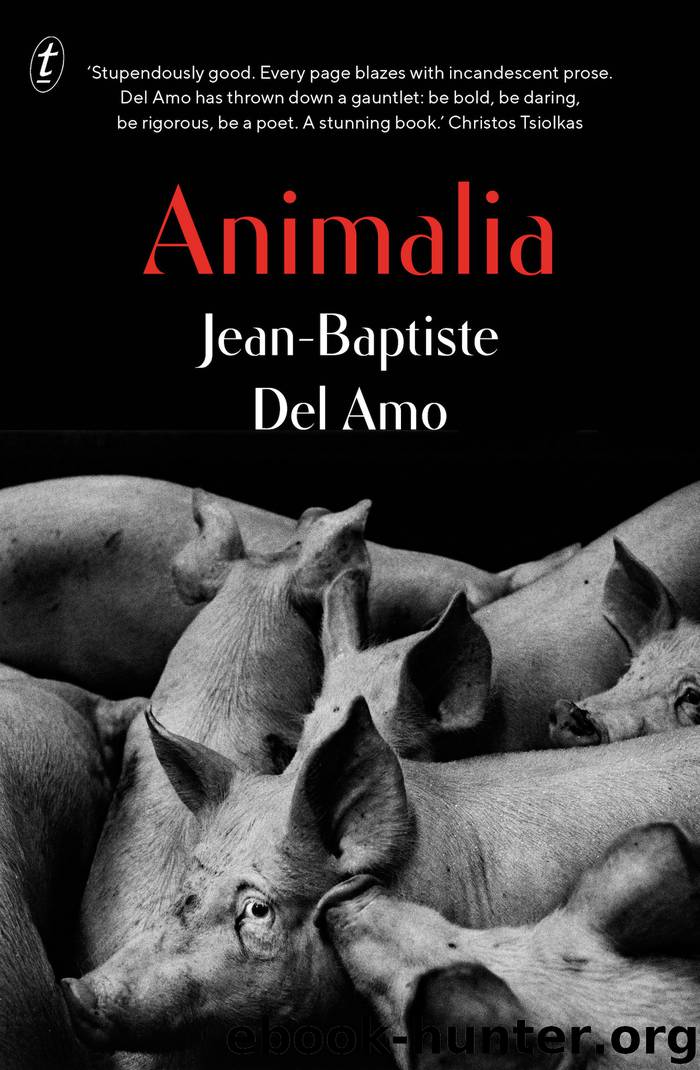 Animalia by Jean-Baptiste Del Amo