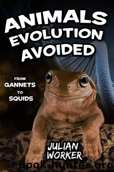 Animals Evolution Avoided by Julian Worker