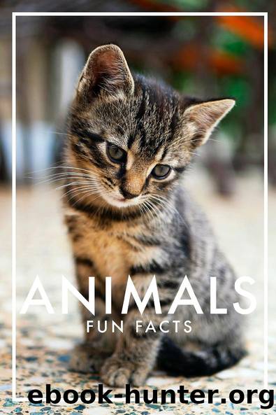 Animals Fun Facts by Nicotext
