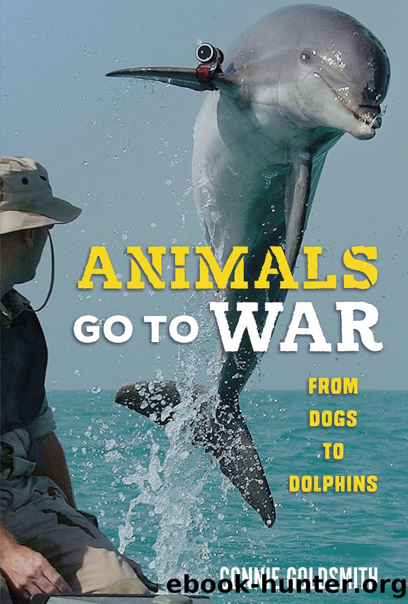 Animals Go to War: From Dogs to Dolphins by Connie Goldsmith