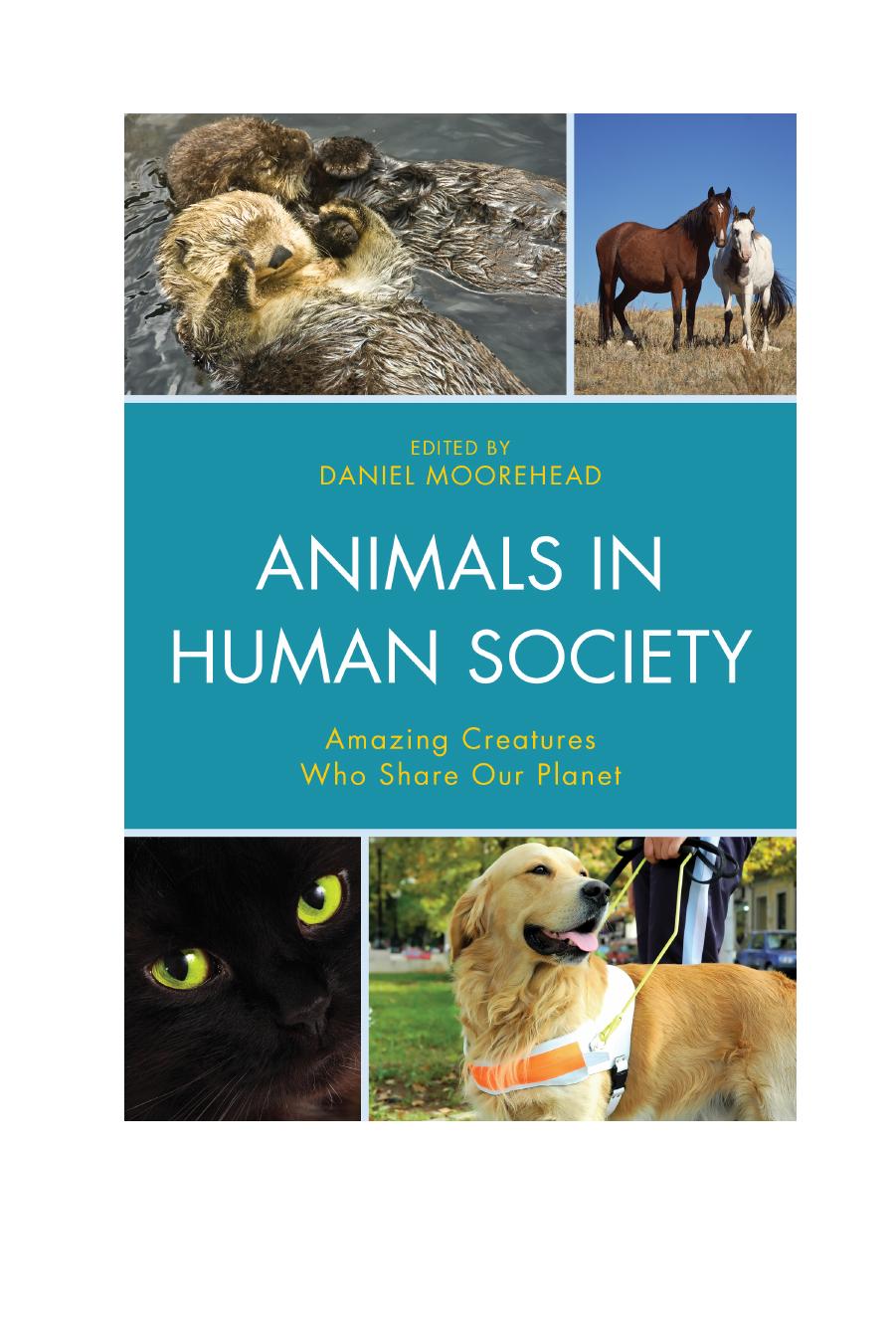 Animals In Human Society: Amazing Creatures Who Share Our Planet by Daniel Moorehead