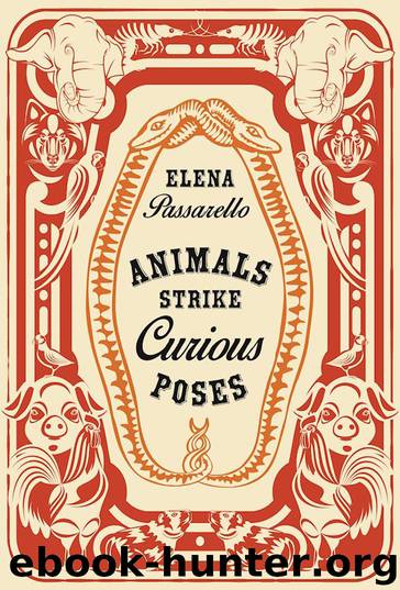 Animals Strike Curious Poses by Elena Passarello