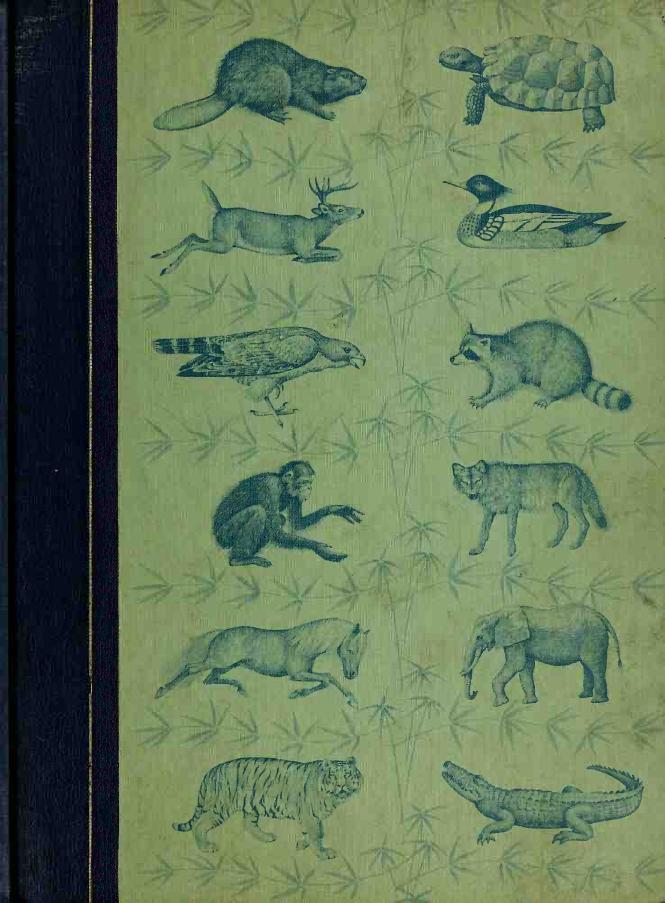 Animals You Will Never Forget: 72 True Stories from the Reader's Digest by Reader's Digest Association