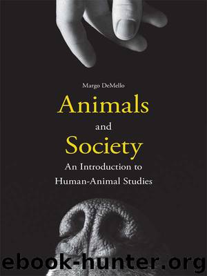 Animals and Society by DeMello Margo;