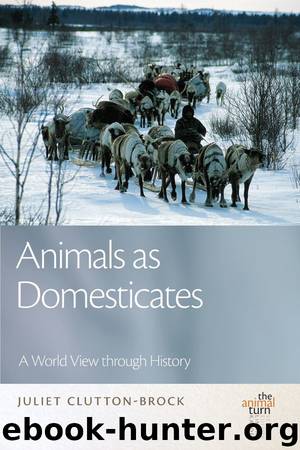 Animals as Domesticates: A World View through History by Juliet Clutton-Brock