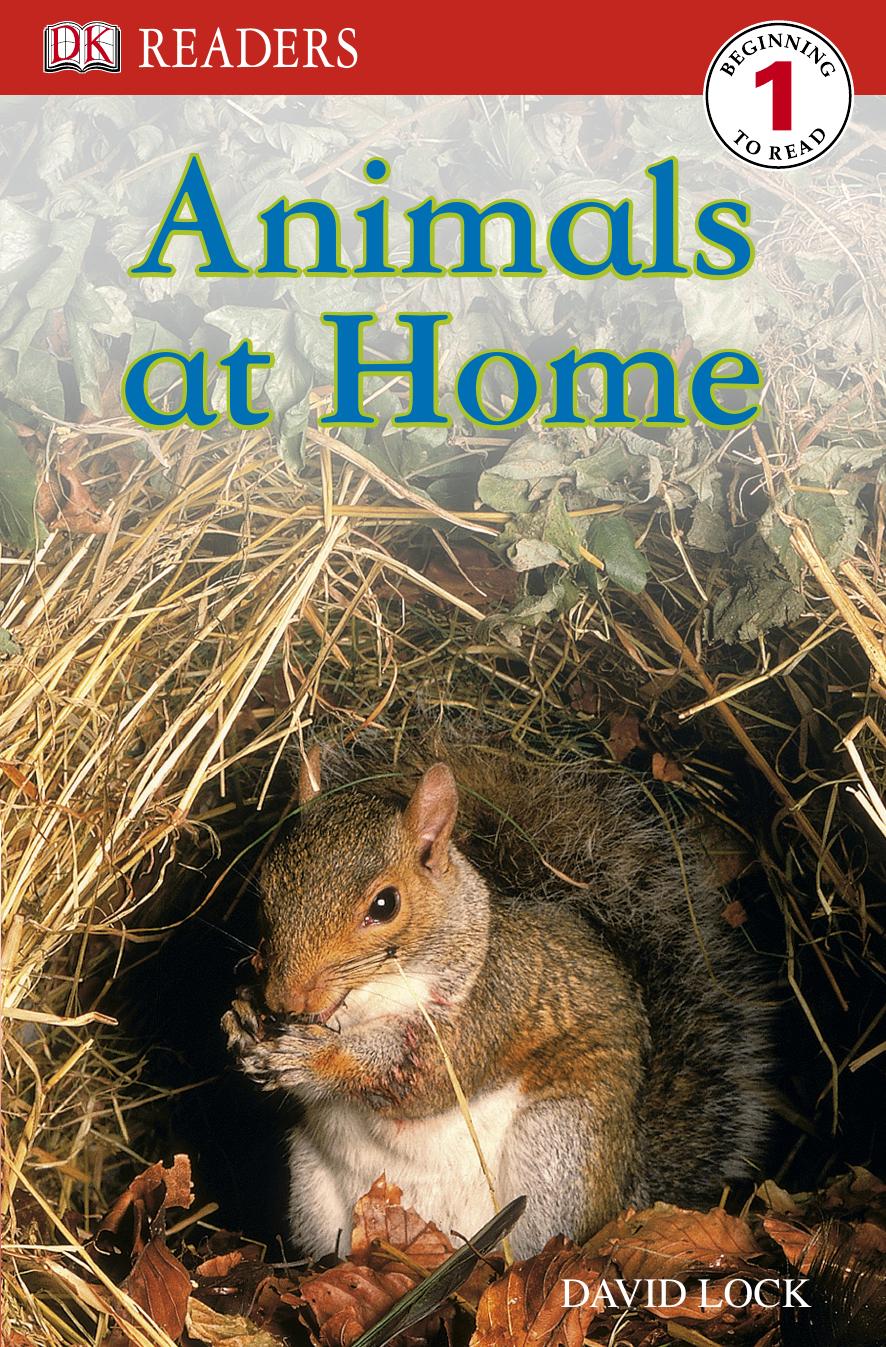 Animals at Home (DK Readers Level 1) by David Lock