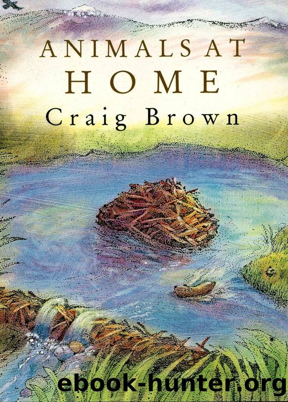 Animals at Home by Craig M. Brown