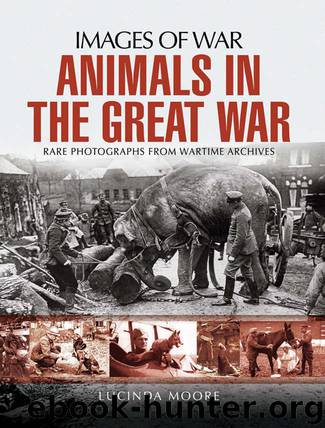 Animals in the Great War (Images of War) by Moore Lucinda