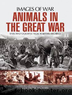 Animals in the Great War by Lucinda Moore