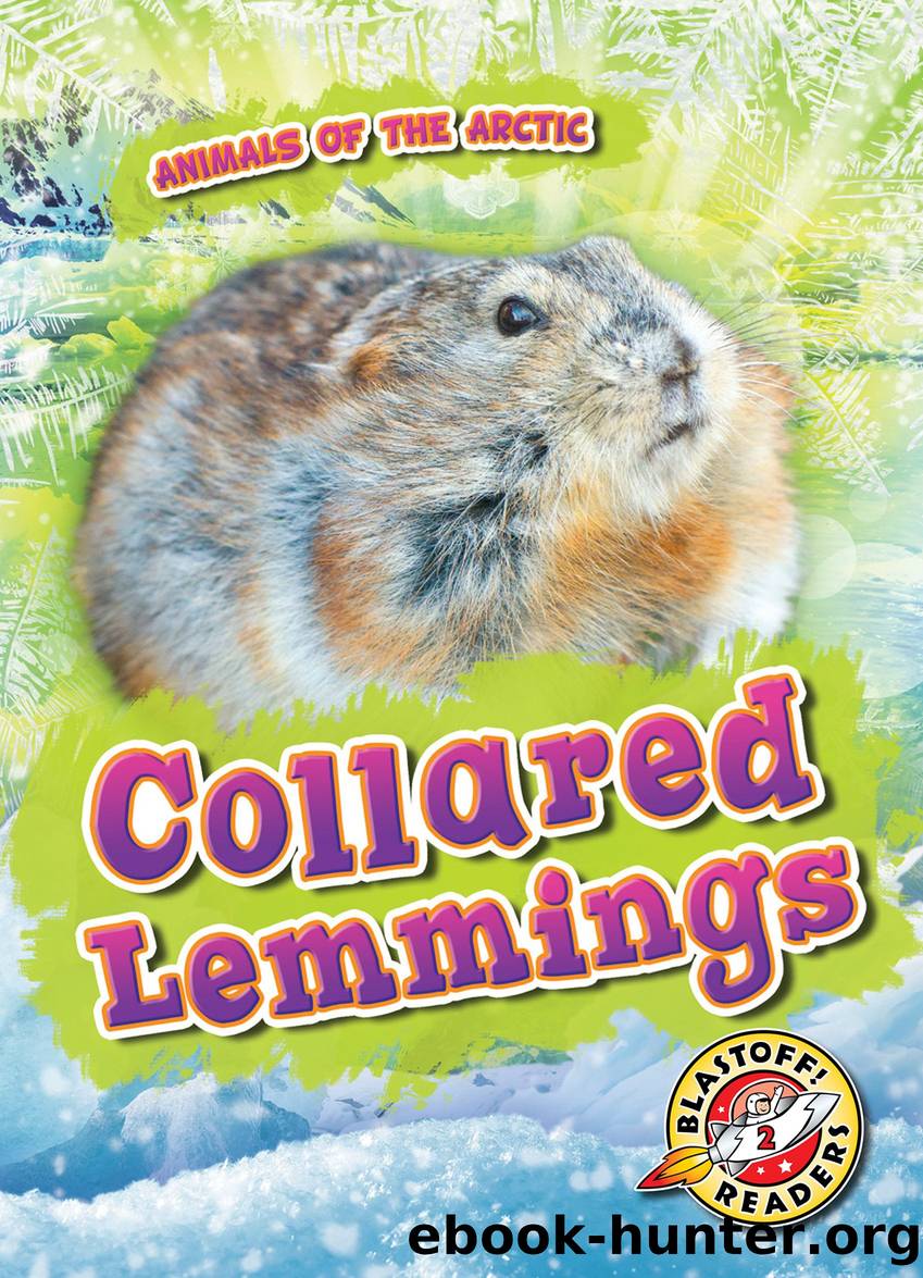 Animals of the Arctic - Collared Lemmings by Rebecca Pettiford