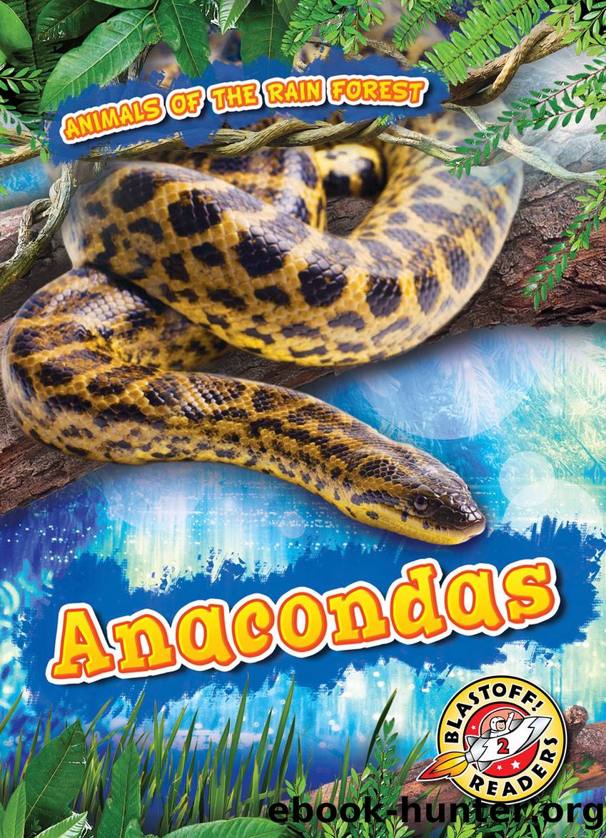 Animals of the Rain Forest - Anacondas by Rachel Grack