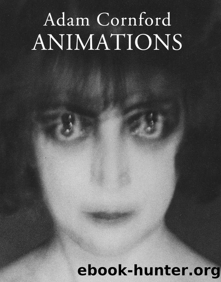 Animations by Adam Cornford