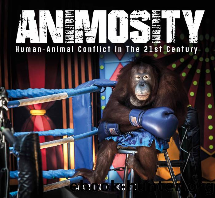 Animosity by Aaron Gekoski