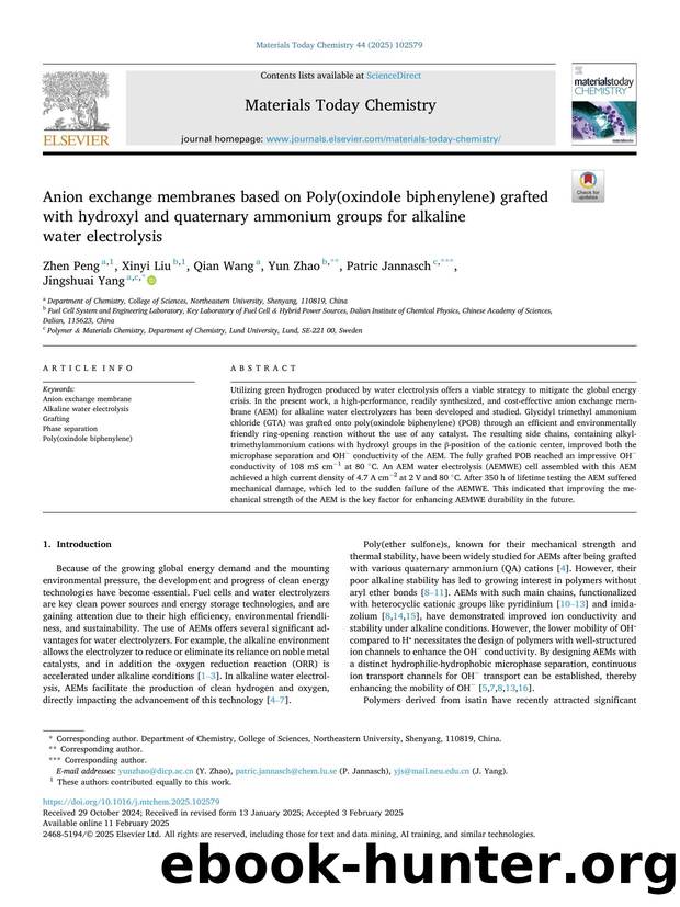 Anion exchange membranes based on Poly(oxindole biphenylene) grafted with hydroxyl and quaternary ammonium groups for alkaline water electrolysis by Zhen Peng & Xinyi Liu & Qian Wang & Yun Zhao & Patric Jannasch & Jingshuai Yang