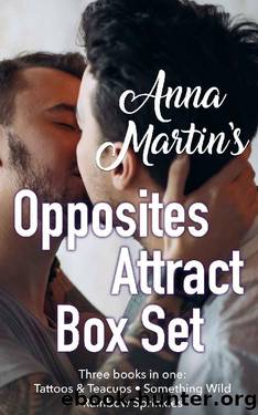 Anna Martin's Opposites Attract Box Set: Tattoos & Teacups - Something Wild - Rainbow Sprinkles by Anna Martin