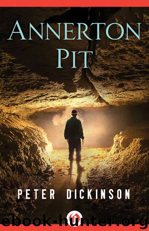 Annerton Pit by Peter Dickinson