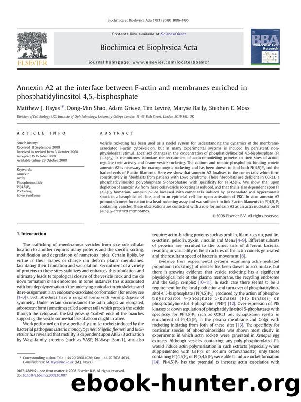 Annexin A2 at the interface between F-actin and membranes enriched in phosphatidylinositol 4,5,-bisphosphate by Matthew J. Hayes; Dong-Min Shao; Adam Grieve; Tim Levine; Maryse Bailly; Stephen E. Moss