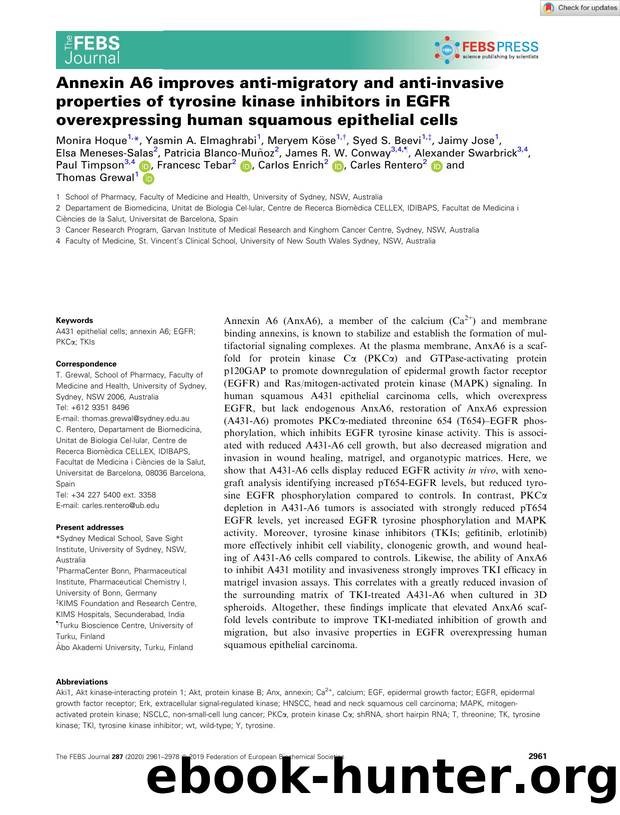 Annexin A6 improves antiâmigratory and antiâinvasive properties of tyrosine kinase inhibitors in EGFR overexpressing human squamous epithelial cells by Unknown