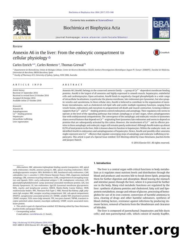 Annexin A6 in the liver: From the endocytic compartment to cellular physiology by Carlos Enrich & Carles Rentero & Thomas Grewal