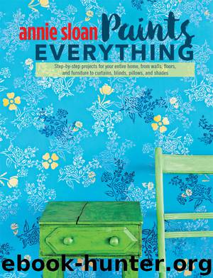 Annie Sloan Paints Everything by Annie Sloan