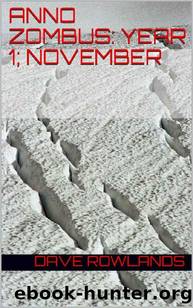 Anno Zombus, Year 1 (Book 11): November by Rowlands Dave