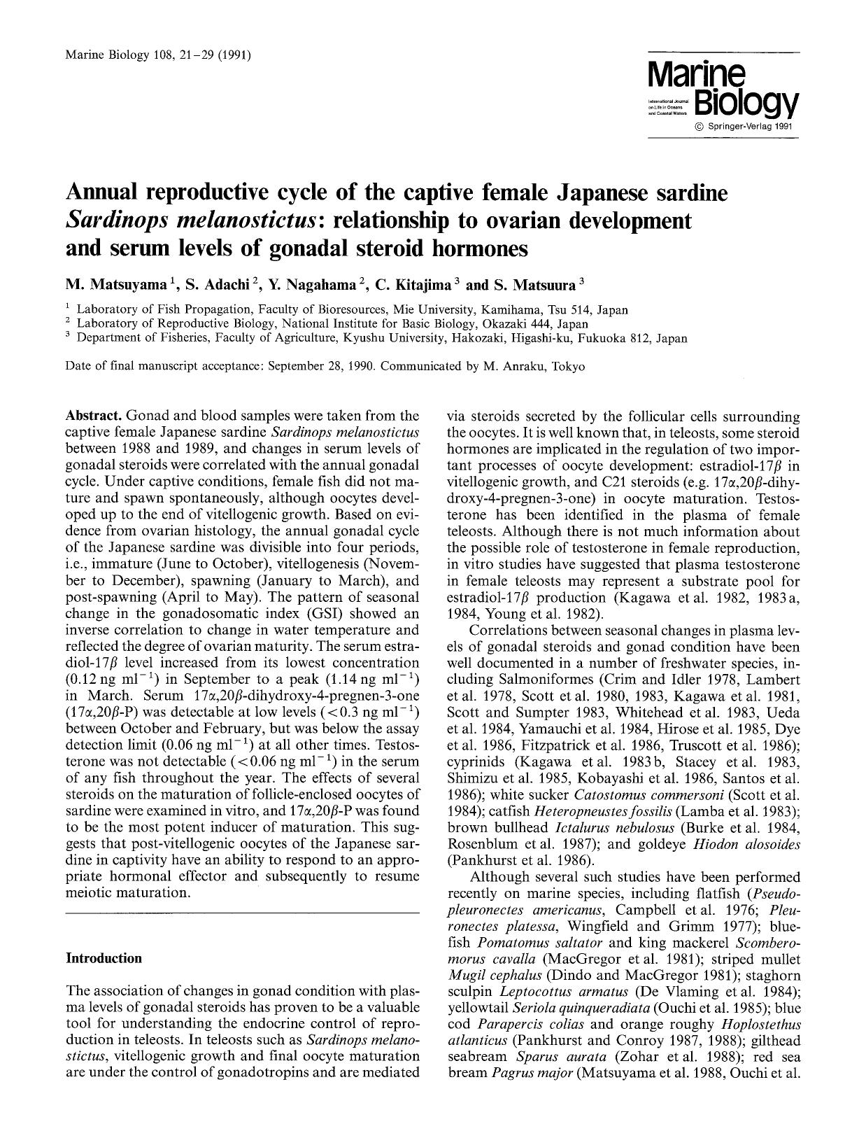Annual reproductive cycle of the captive female Japanese sardine <Emphasis Type="Italic">Sardinops melanostictus <Emphasis>: Relationship to ovarian development and serum levels of by Unknown