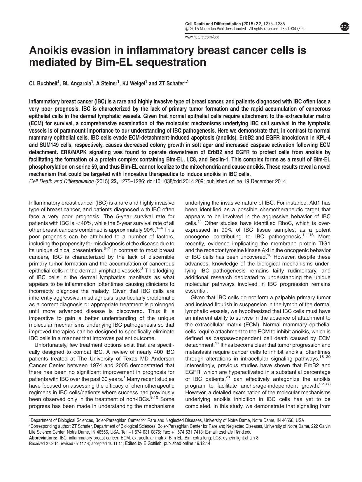 Anoikis evasion in inflammatory breast cancer cells is mediated by Bim-EL sequestration by C L Buchheit & B L Angarola & A Steiner & K J Weigel & Z T Schafer &