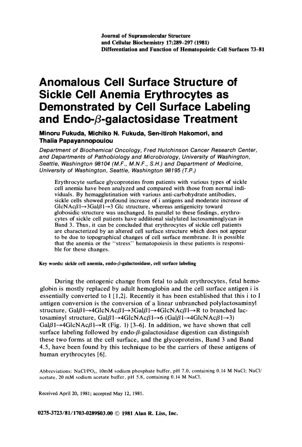 Anomalous cell surface structure of sickle cell anemia erythrocytes as demonstrated by cell surface labeling and endo-[beta]-galactosidase treatment by Unknown