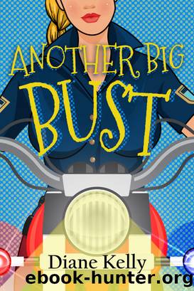 Another Big Bust by Diane Kelly