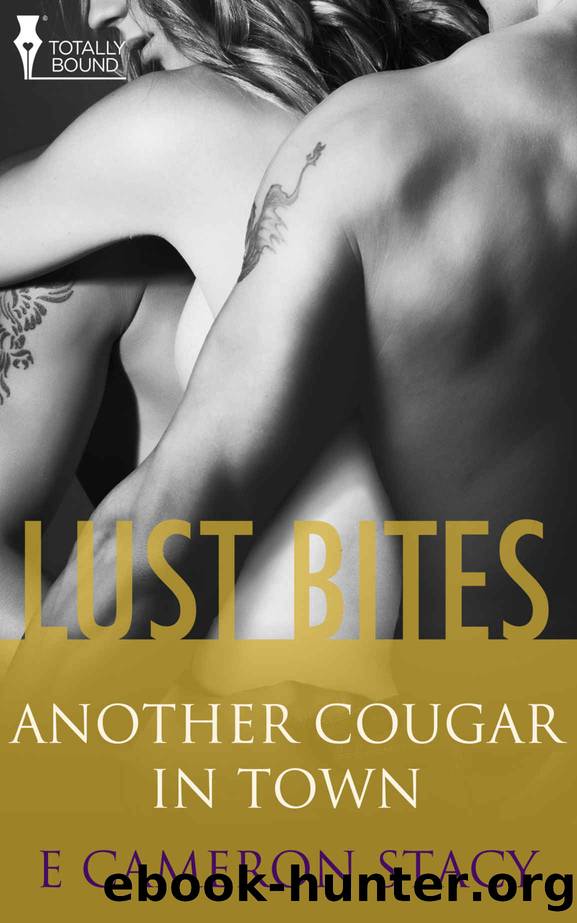 Another Cougar in Town (The Cougar in Town) by E. Stacy