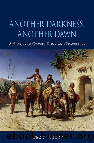 Another Darkness, Another Dawn: A History of Gypsies, Roma, and Travellers by Becky Taylor