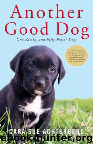 Another Good Dog by Cara Sue Achterberg