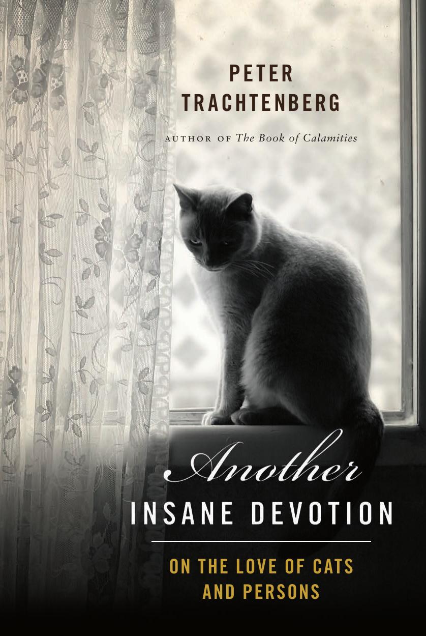 Another Insane Devotion by Peter Trachtenberg