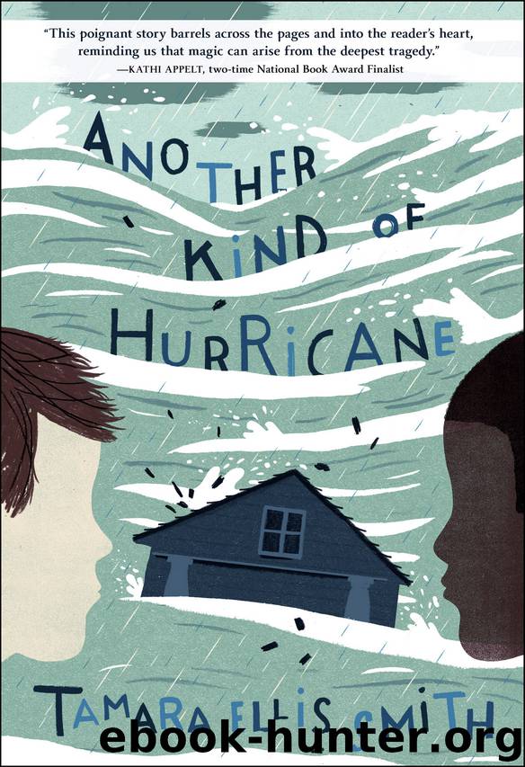 Another Kind of Hurricane by Tamara Ellis Smith