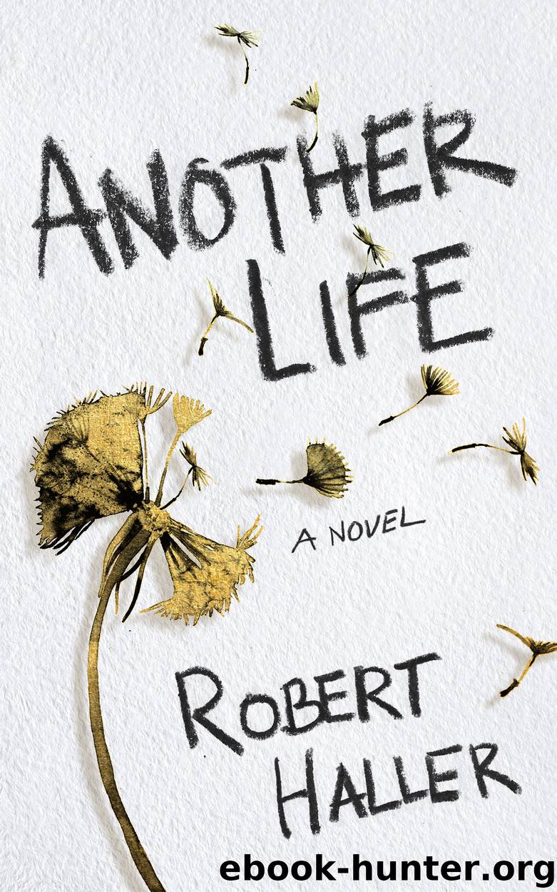 Another Life by Robert Haller