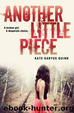 Another Little Piece by Kate Karyus Quinn