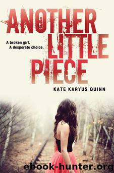 Another Little Piece by Quinn Kate Karyus