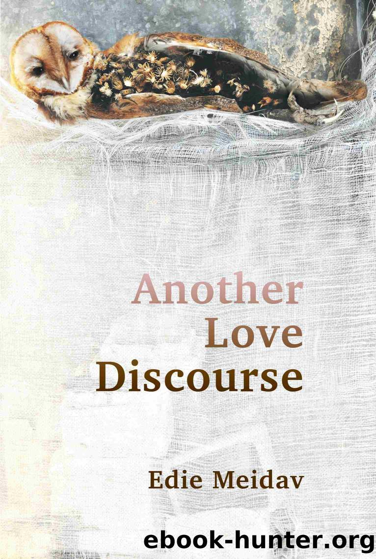 Another Love Discourse by Edie Meidav