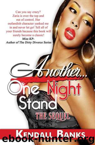 Another One Night Stand by Kendall Banks