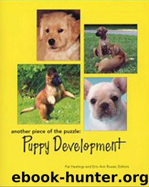 Another Piece of the Puzzle: Puppy Development by Hastings Pat & Rouse Erin Ann