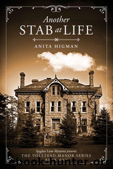 Another Stab at Life by Anita Higman