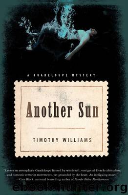 Another Sun by Timothy Williams