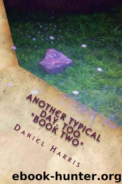 Another Typical Day, Too: Wizards of Eredwynn Vol 2 (The Wizards of Eredwynn) by Daniel B. Harris