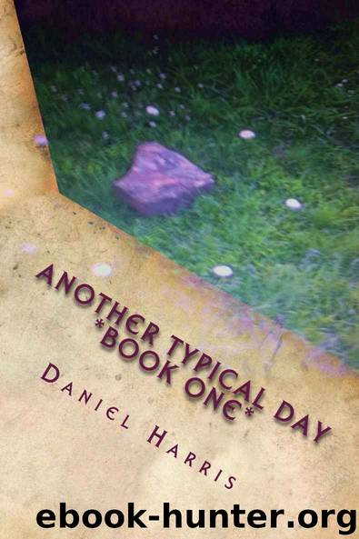 Another Typical Day: Wizards of Eredwynn Vol 1 (The Wizards of Eredwynn) by Daniel B. Harris