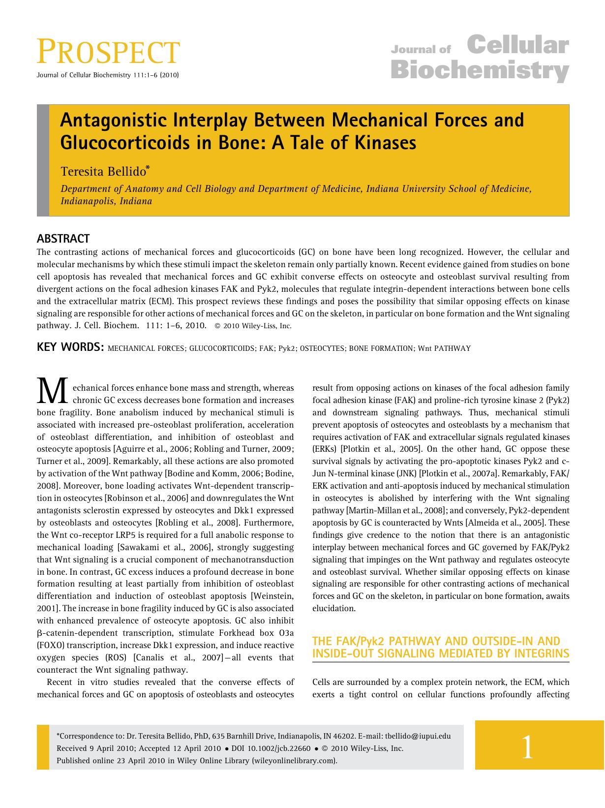 Antagonistic interplay between mechanical forces and glucocorticoids in bone: A tale of kinases by Unknown