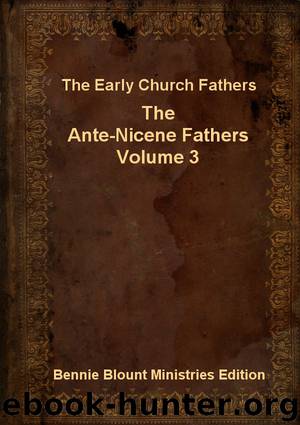 Ante-Nicene Fathers Volume 3 by Early Church Fathers
