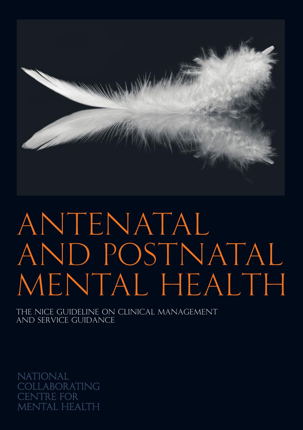 Antenatal and Postnatal Mental Health: The NICE Guideline on Clinical Management and Service Guidance by National Institute for Health and Clinical Excellence (Great Britain)