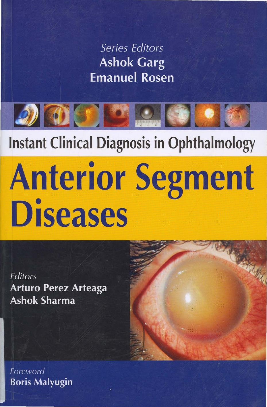 Anterior Segment Diseases (Instant Clinical Diagnosis in Ophthalmology) by Arturo Perez Arteaga Ashok Sharma