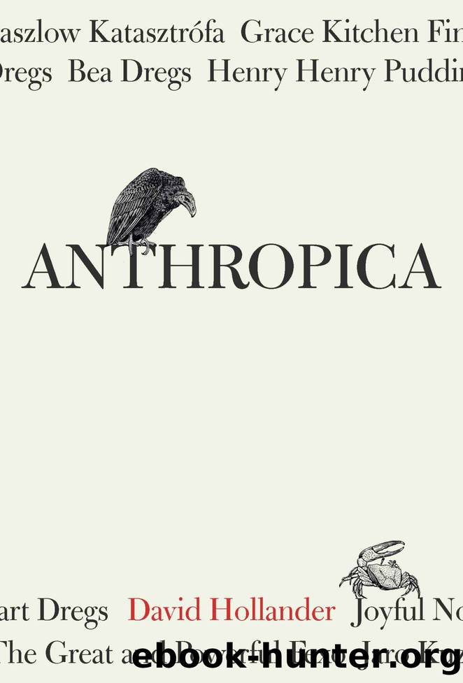 Anthropica by David Hollander